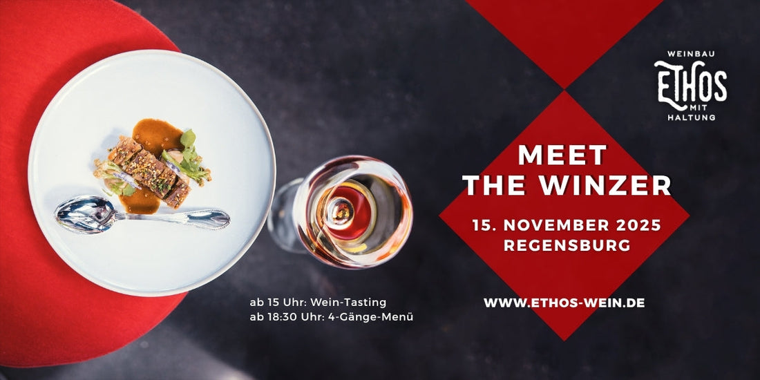 Meet the Winzer 15.11.25 in Regensburg