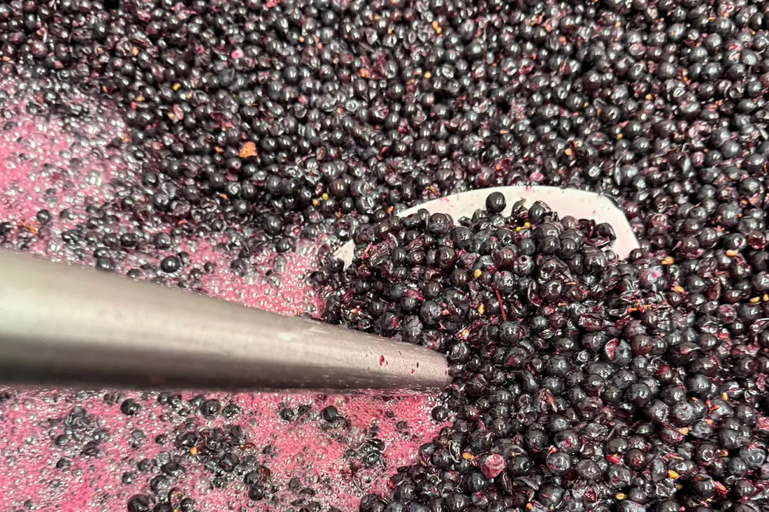 Welche Farbe hat Merlot?