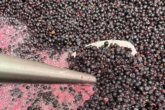 Welche Farbe hat Merlot?