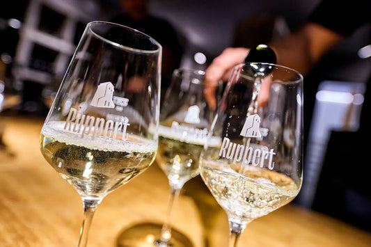 Das Gläser ABC: Welches Glas für welchen Wein?