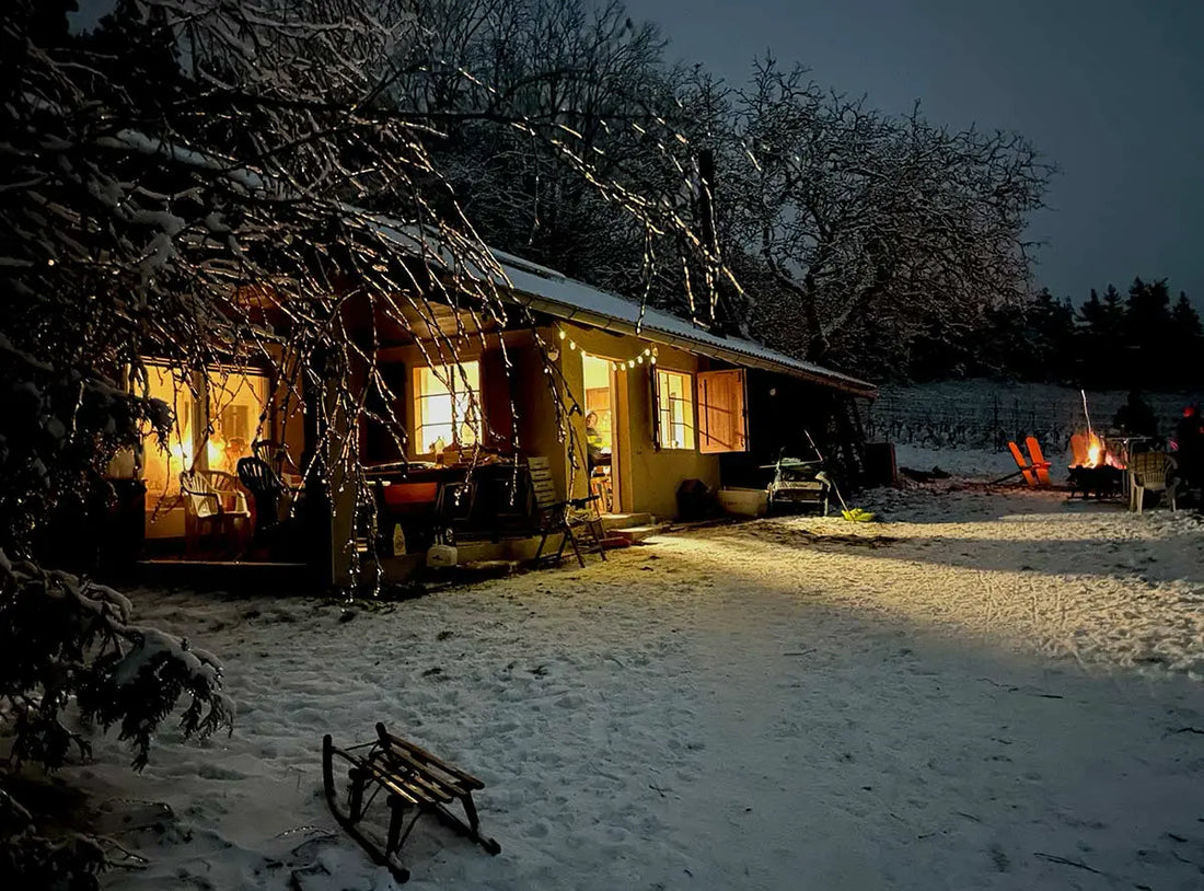 Welche Weine für Weihnachten?