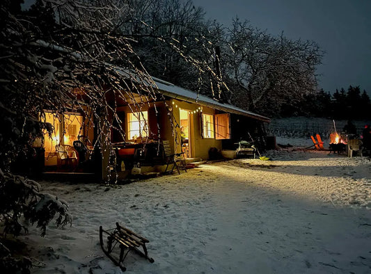 Welche Weine für Weihnachten?