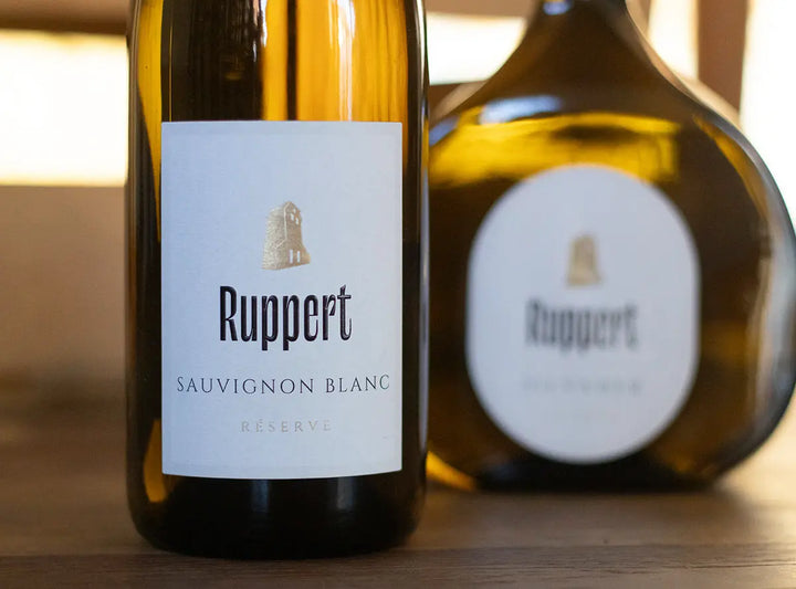 Trinktemperatur: Welcher Wein bei wie viel Grad