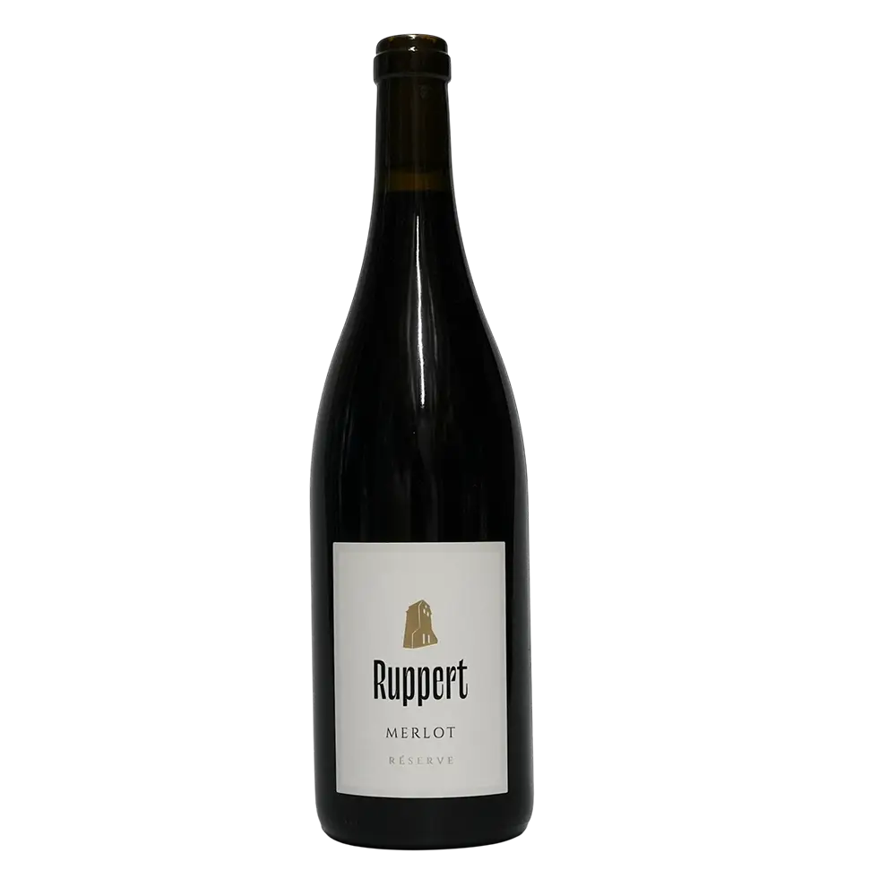 Merlot trocken